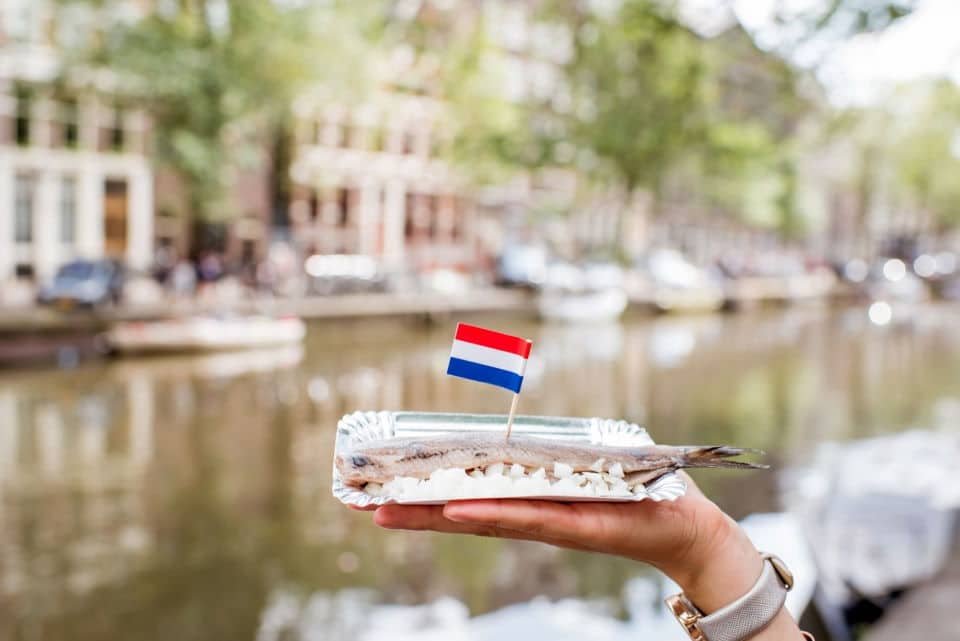 Food Tour