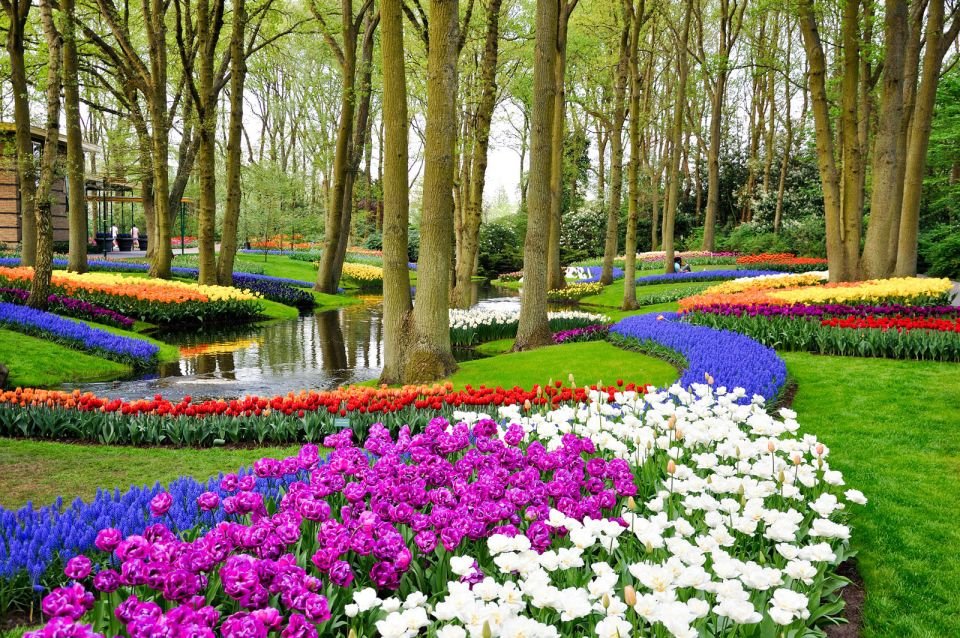 Vstupenka na Keukenhof