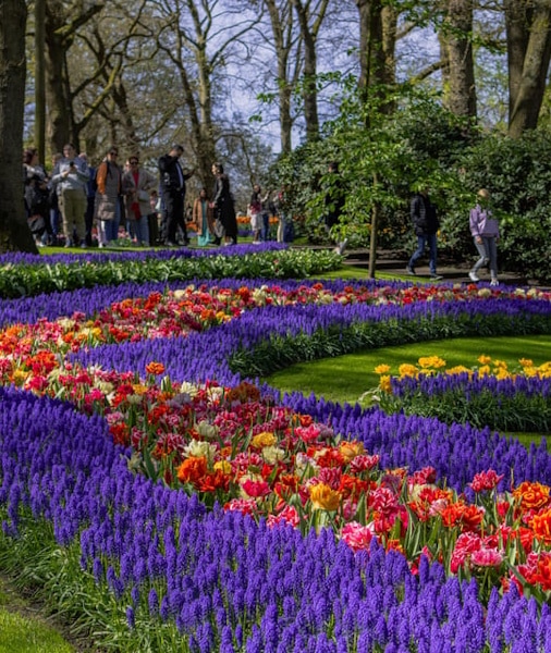  Foto zu Keukenhof Ticket 2025 • Roundtrip Shuttle Transfer 